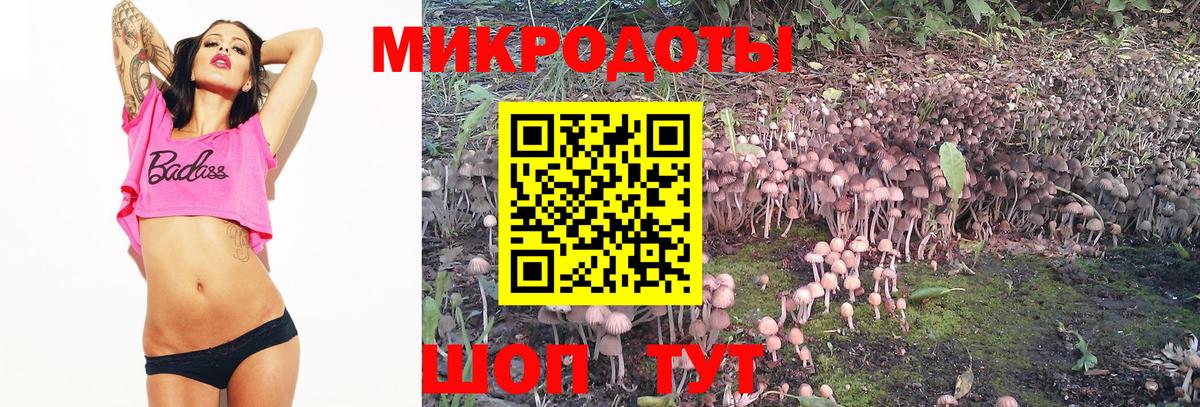 Галлюциногенные грибы GOLDEN TEACHER Качканар