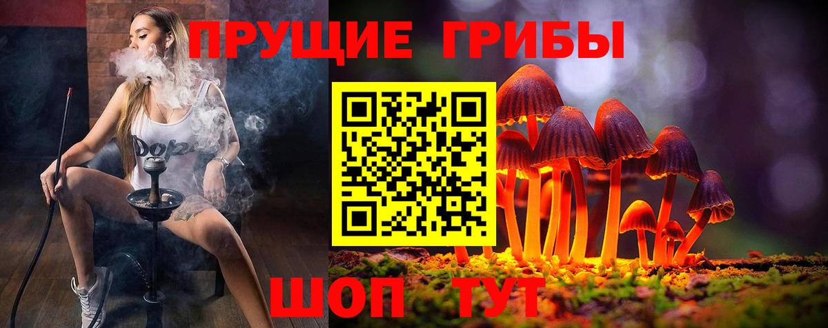 Качканар  Галлюциногенные грибы Psilocybe  Галлюциногенные грибы мицелий  Вход с VPN 